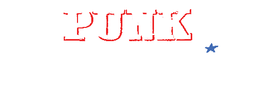 punk-conservative